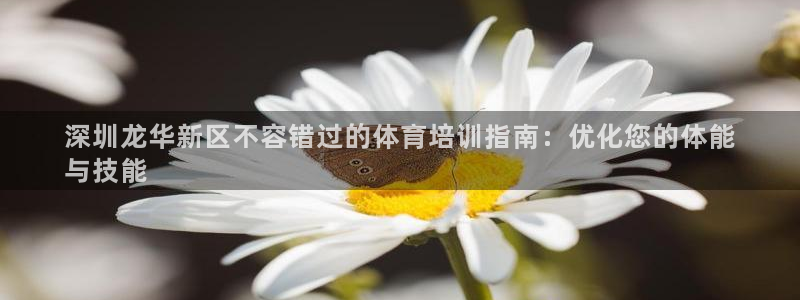 耀世娱乐怎么注册账号：深圳龙华新区不容错过的体育培训