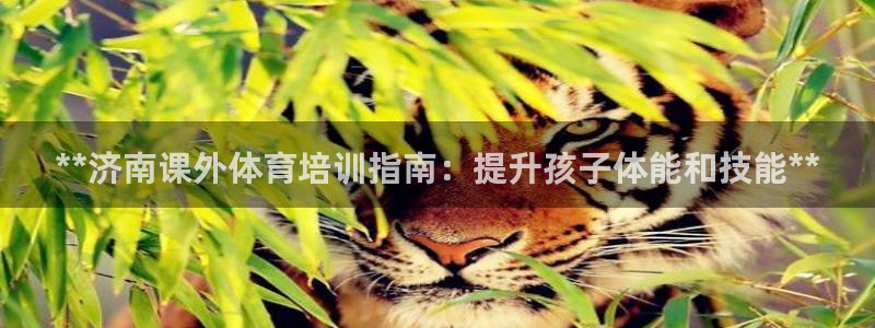 耀世集团董事长是谁啊：**济南课外体育培训指南：提升