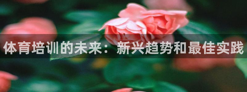 耀世平台最新注册地址在哪看：体育培训的未来：新兴趋势
