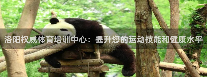 耀世歌曲：洛阳权威体育培训中心：提升您的运动技能和健