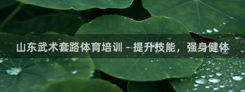 耀世平台是黑台子吗知乎：山东武术套路体育培训 - 提
