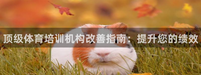 耀世娱乐如何登录平台账户：顶级体育培训机构改善指南：