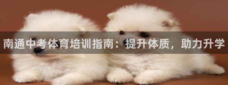 耀世游戏：南通中考体育培训指南：提升体质，助力升学