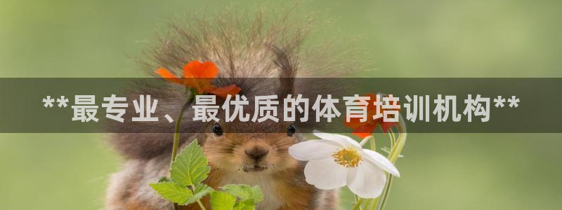 耀世平台注册网址是什么：**最专业、最优质的体育培训