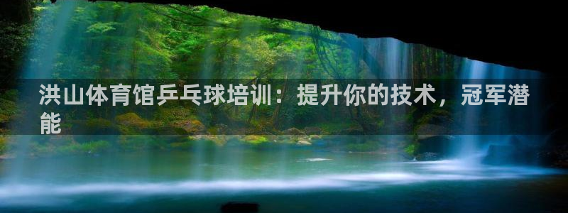 耀世集团：洪山体育馆乒乓球培训：提升你的技术，冠军潜