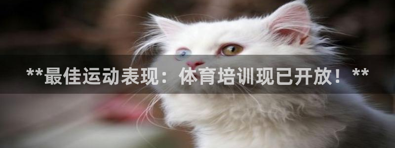 耀世国际集团董事长：**最佳运动表现：体育培训现已开