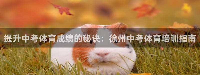 耀世国际平台正规吗可信吗安全吗