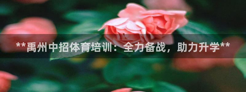 耀世兵权：**禹州中招体育培训：全力备战，助力升学*