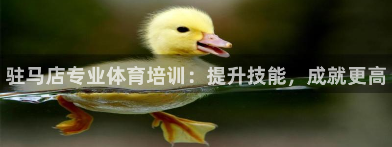 耀世集团七天三彩：驻马店专业体育培训：提升技能，成就