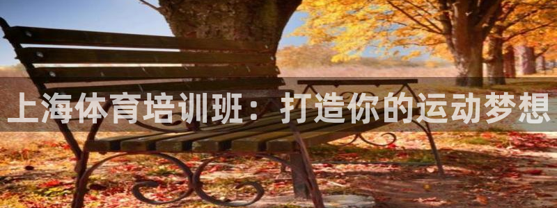 耀世三国官网：上海体育培训班：打造你的运动梦想