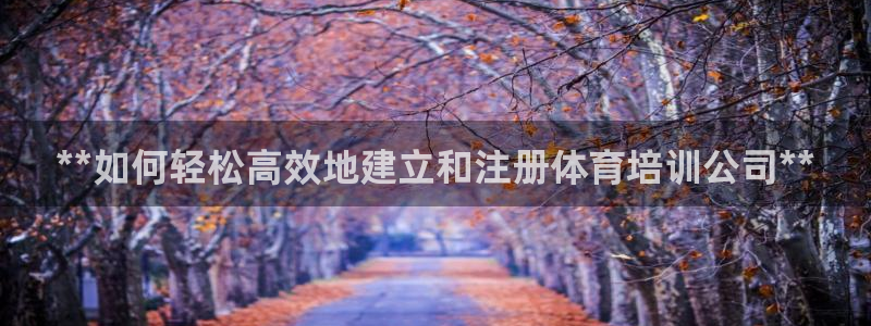 耀世平台负责人是谁：**如何轻松高效地建立和注册体育