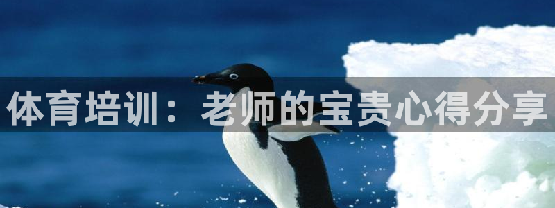 耀世国际平台正规吗可靠吗可信吗：体育培训：老师的宝贵