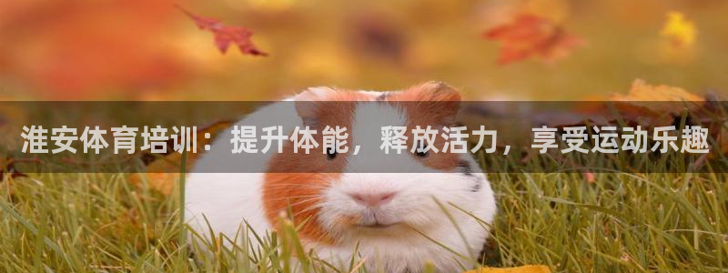 耀世娱乐挂机脚本：淮安体育培训：提升体能，释放活力，
