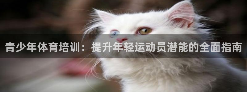 耀世平台代理怎么做任务：青少年体育培训：提升年轻运动