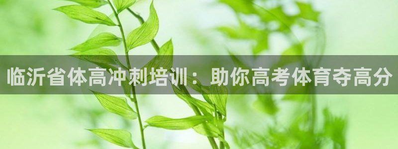 耀世娱乐脚本下载：临沂省体高冲刺培训：助你高考体育夺