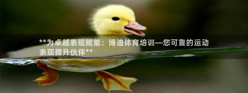 耀世娱乐挂机脚本：**为卓越表现赋能：博迪体育培训—