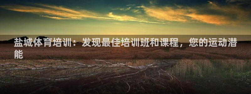 耀世娱乐注册官网：盐城体育培训：发现最佳培训班和课程