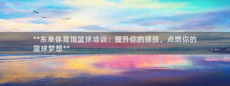 耀世平台皮皮虾怎么样：**东单体育馆篮球培训：提升你