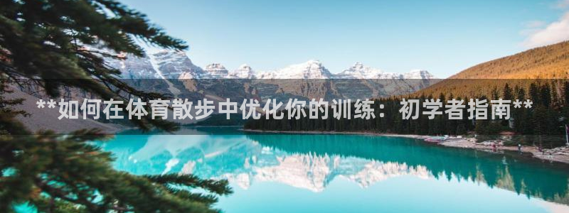 耀世平台最新注册地址是哪里：**如何在体育散步中优化