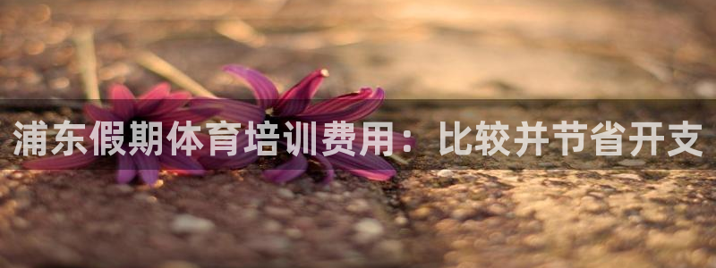 耀世挑战第3关怎么过：浦东假期体育培训费用：比较并节