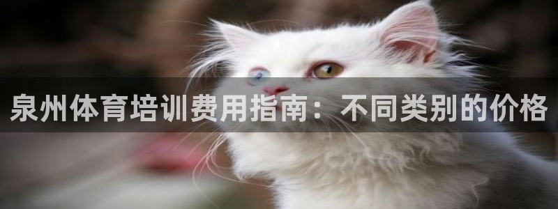 耀世集团王总简介：泉州体育培训费用指南：不同类别的价