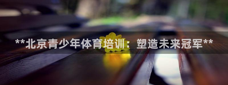 耀世平台代理：**北京青少年体育培训：塑造未来冠军*