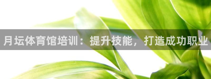耀世平台哪个彩种是公平彩：月坛体育馆培训：提升技能，