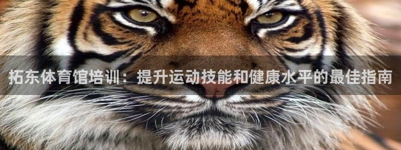 耀世而生：拓东体育馆培训：提升运动技能和健康水平的最