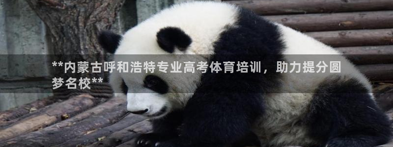 耀世娱乐是正规还是仿：**内蒙古呼和浩特专业高考体育