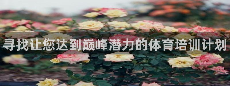 耀世平台客服24小时在线咨询电话：寻找让您达到巅峰潜