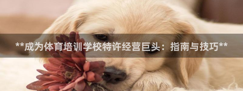 耀世平台总代理电话：**成为体育培训学校特许经营巨头