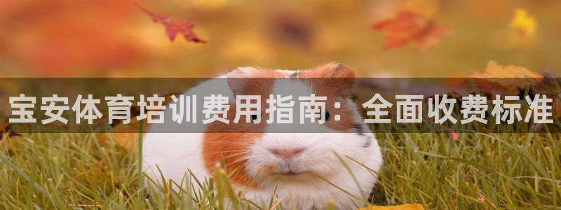 耀世娱乐目 5O6917 耀世：宝安体育培训费用指南