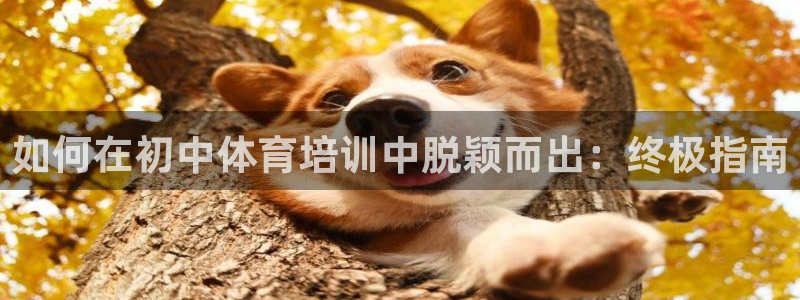 耀世平台有很多登录地址：如何在初中体育培训中脱颖而出