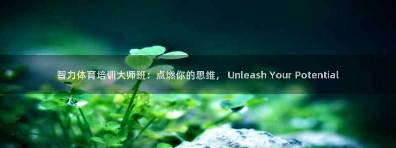 耀世娱乐百科：智力体育培训大师班：点燃你的思维， U