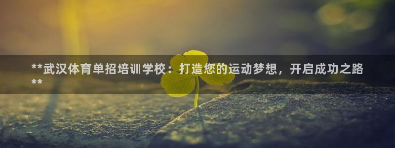 耀世娱乐是不是赚钱了：**武汉体育单招培训学校：打造