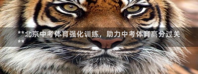 耀世平台梦 5O6917 平台：**北京中考体育强化