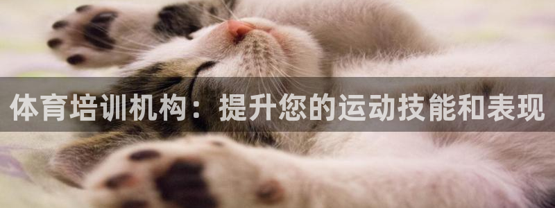 耀世集团王总简介：体育培训机构：提升您的运动技能和表