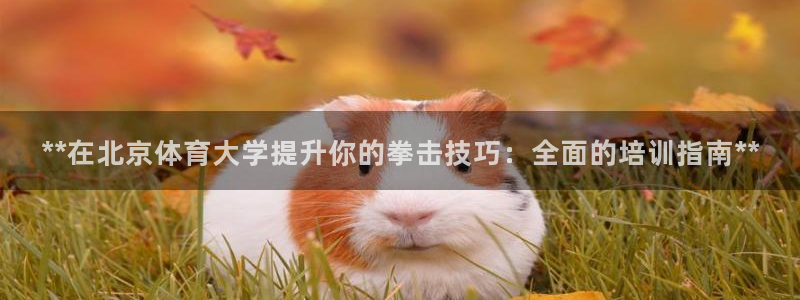 耀世令有什么用：**在北京体育大学提升你的拳击技巧：