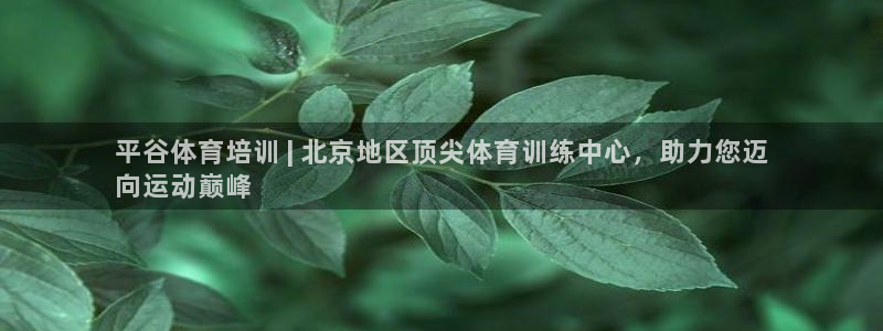 耀世平台必7O777：平谷体育培训 | 北京地区顶尖