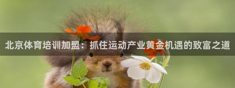 耀世天下怎么接：北京体育培训加盟：抓住运动产业黄金机