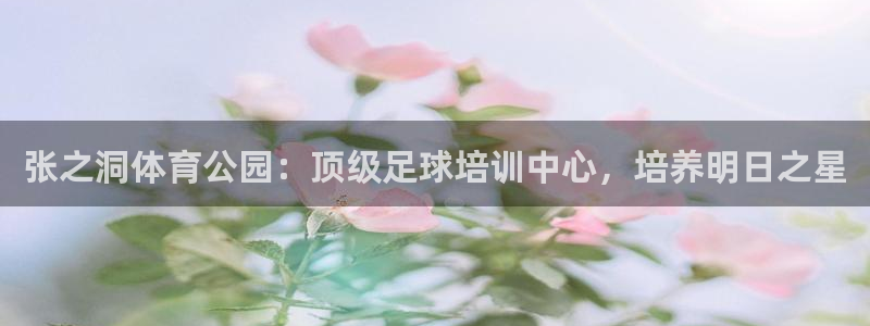 耀世平台注册步骤及时间：张之洞体育公园：顶级足球培训
