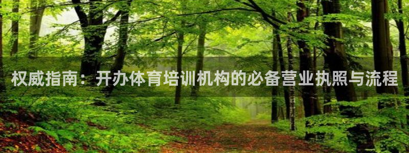 耀世娱乐佳 411O31 耀世：权威指南：开办体育培