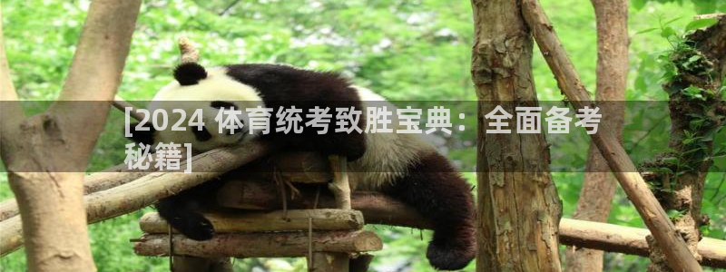 耀世娱乐是正规还是仿：[2024 体育统考致胜宝典：