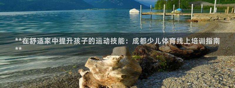 耀世金生产品介绍：**在舒适家中提升孩子的运动技能：