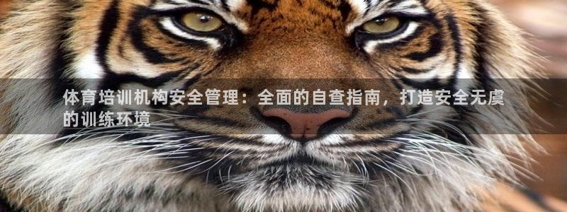 耀世平台负责人：体育培训机构安全管理：全面的自查指南