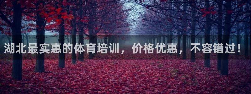 耀世平台开户要求：湖北最实惠的体育培训，价格优惠，不