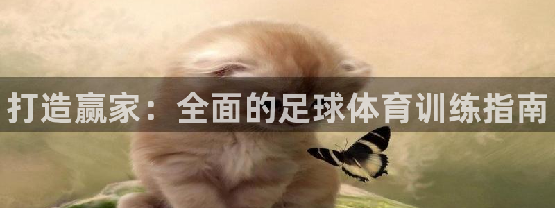 耀世平台有很多登录地址怎么办：打造赢家：全面的足球体
