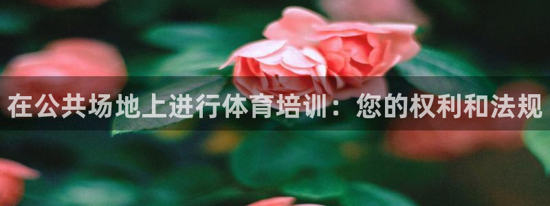 耀世娱乐平台官网登录不了了：在公共场地上进行体育培训