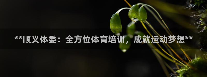 耀世娱乐中国：**顺义体委：全方位体育培训，成就运动