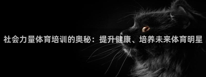 耀世娱乐挂机赚钱吗：社会力量体育培训的奥秘：提升健康